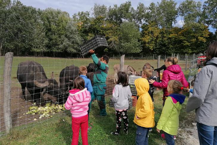 Hagyomnyrz dlutn - llatok Vilgnapja